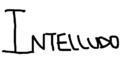 intelludo.com
